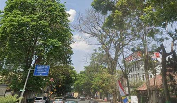 Jual Tanah di Jalan Pajajaran Bandung